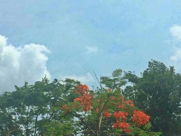 Pancadas de chuva e trovoadas isoladas são previstas em MS
