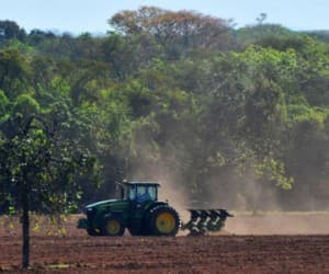 O preço da terra valoriza-se até 183% em MS com a força do agronegócio