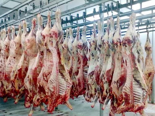 JBS demite 210 funcionários em Coxim