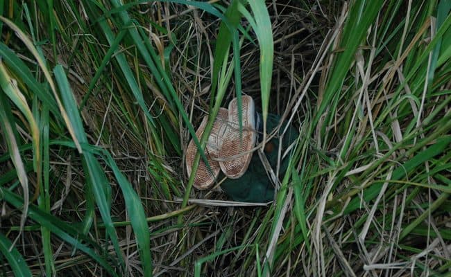 Quem matou o menor suspeito da prática de assaltos em Chapadão do Sul?
