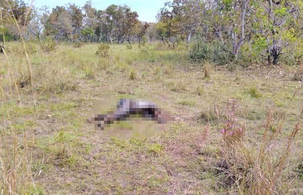 Homem apodrece no Pantanal por falta de estrutura policial