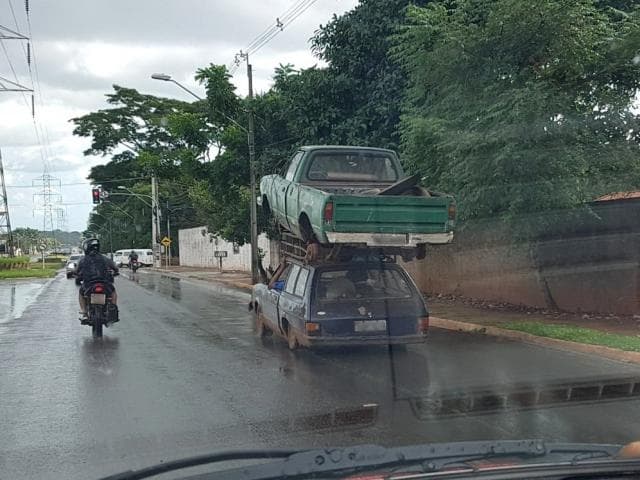 Vida difícil: "Quem não tem cão caça com gato"