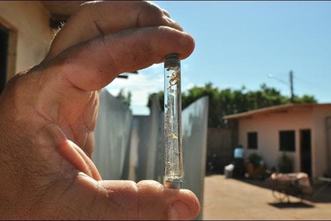 Menino de 9 anos morre vítima da dengue em Campo Grande